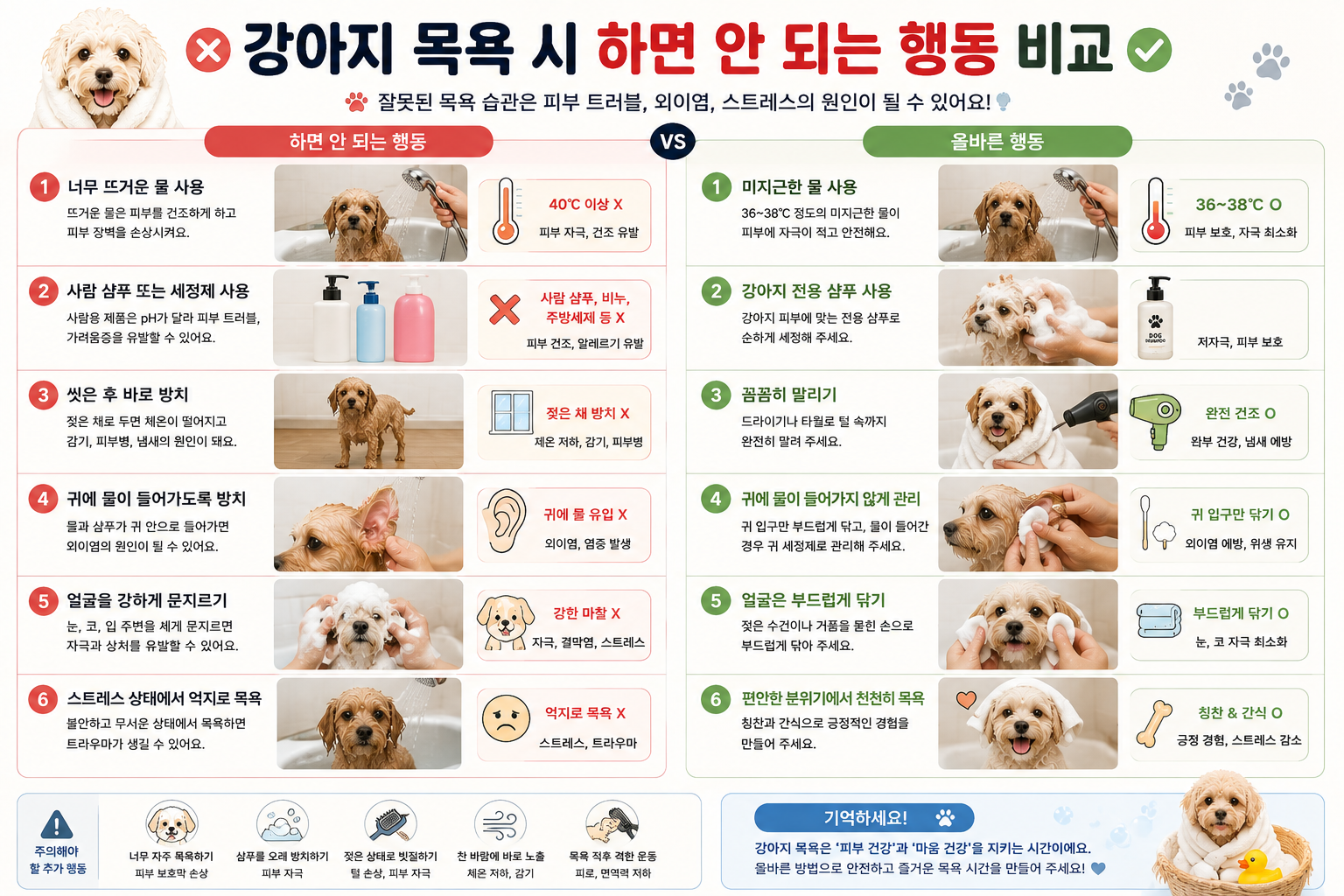 강아지 목욕 시 하면 안 되는 행동 비교 이미지, 강아지 목욕 방법, 강아지 목욕 주의사항, 사람 샴푸 사용 금지, 강아지 귀에 물 들어가면, 강아지 목욕 후 말리기, 강아지 드라이기 사용법, 강아지 피부 관리, 외이염 예방, 강아지 목욕 순서