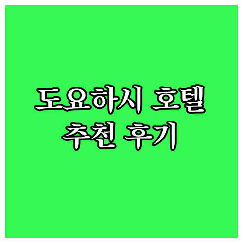 도요하시 호텔 추천: Hotel As..