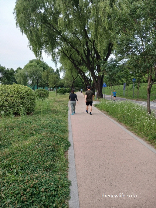 도심 속 공원 산책로에서 걷기 운동 중인 사람들 – 안전하고 꾸준히 운동하기 좋은 장소