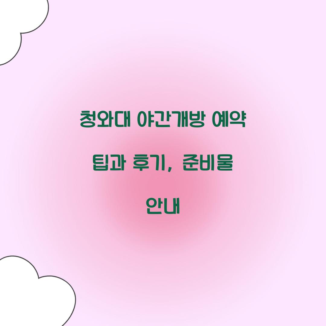 청와대 야간개방 예약