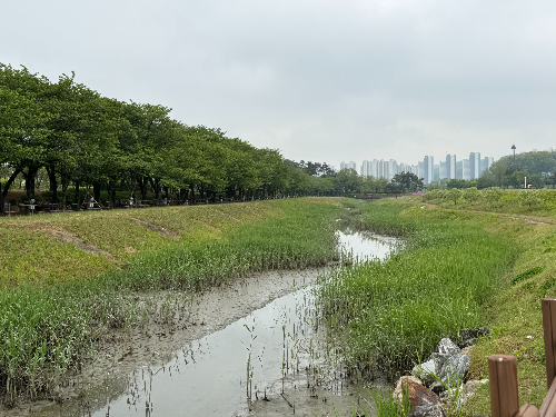 시흥 갯골생태공원 해질녁 콘서트