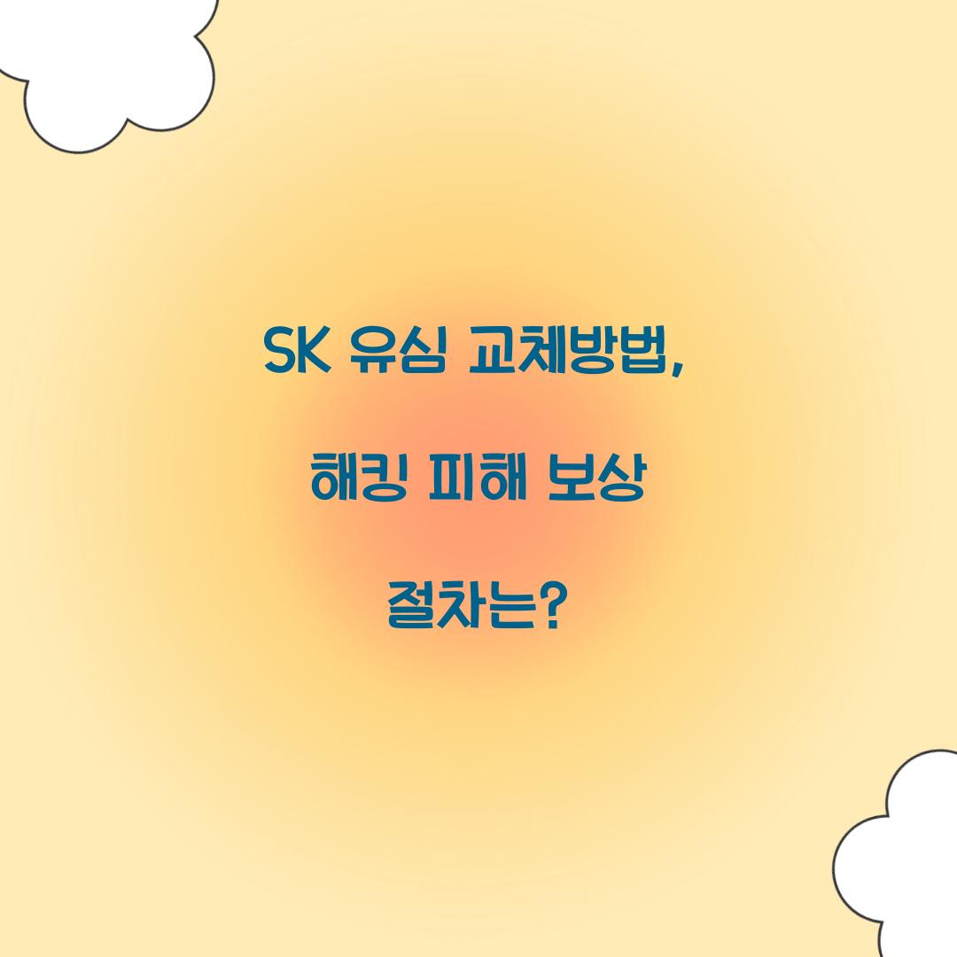 SK 유심 교체방법