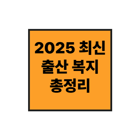 2025년 최신 출산 복지 총정리｜첫만남이용권부터 정부지원금까지