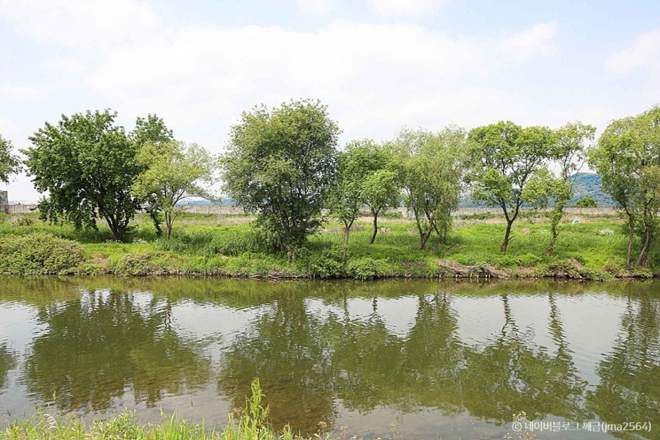 성남 가볼만한곳 베스트10