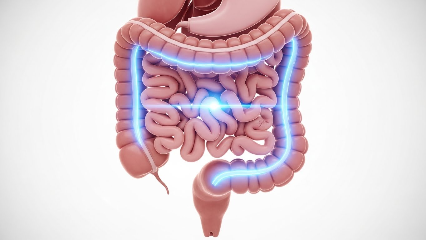 푸룬주스마그밀정변비