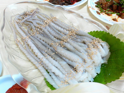 무안 연꽃축제 맛집