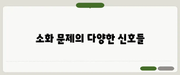 소화가 잘 안될 때 나타나는 증상과 해결책