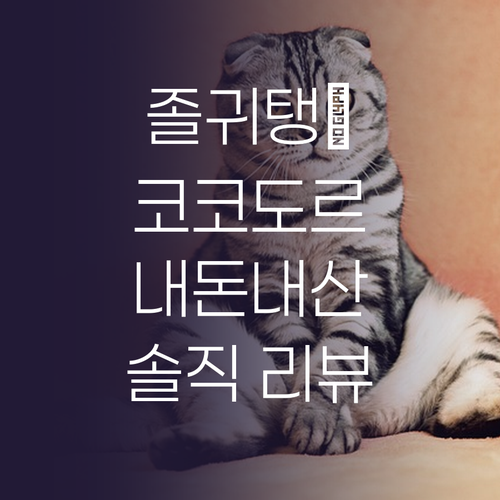 귀여움 폭발! 코코도르 라인프렌즈 디..