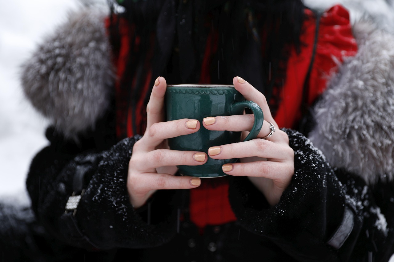 겨울 면연력 - 사진