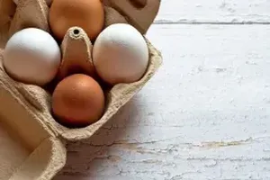 계란
