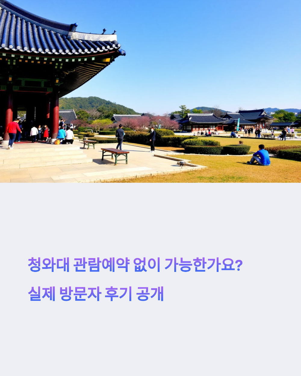 청와대 관람예약 없이 가능한가요 실제 방문자 후기 공개