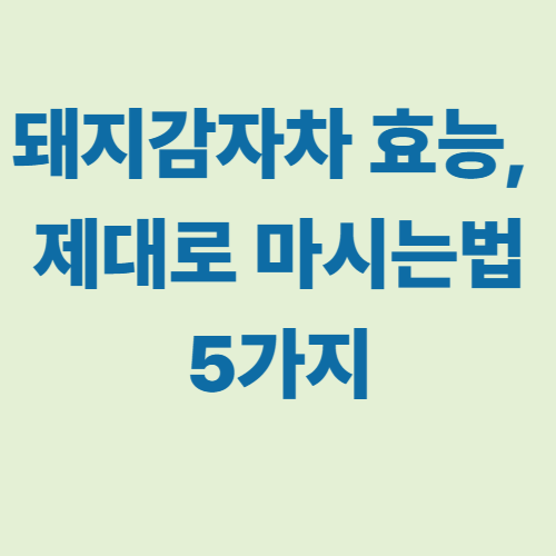 돼지감자차 효능