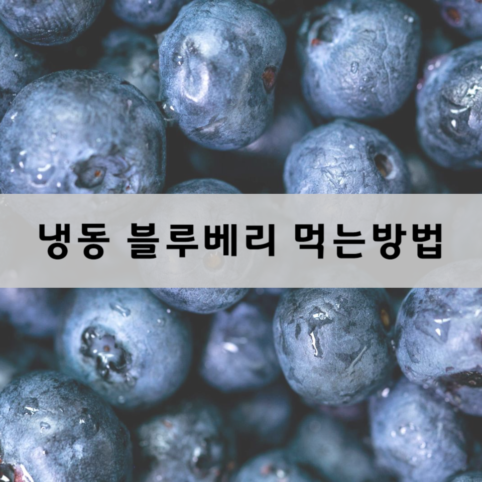 냉동-블루베리-먹는-방법