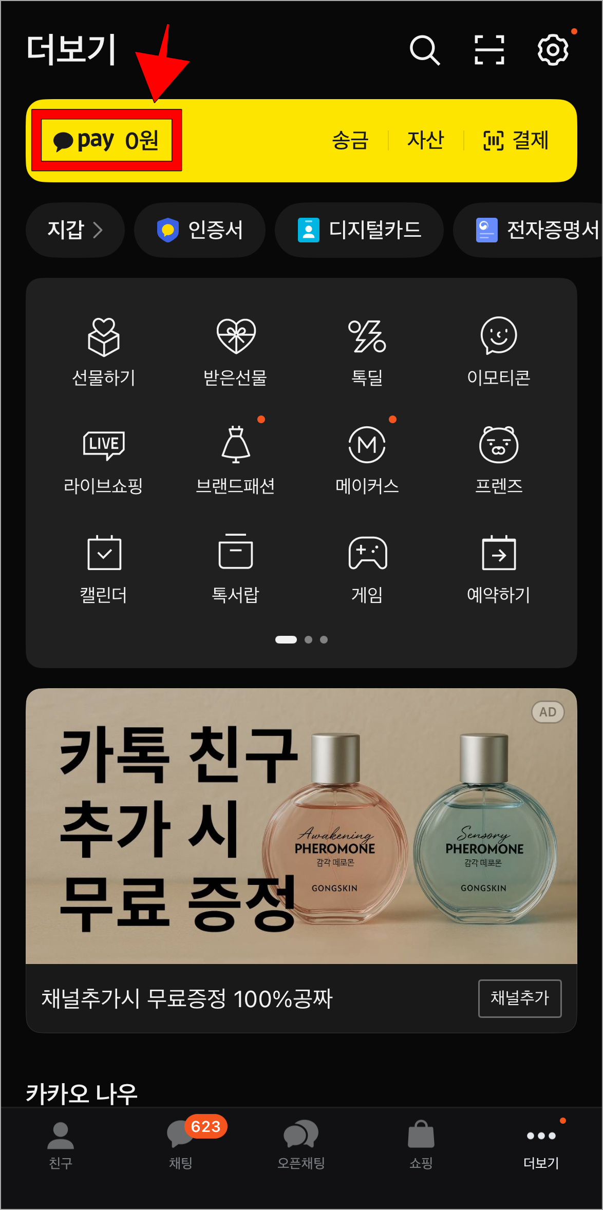 카카오톡 더보기에서 카카오페이를 선택