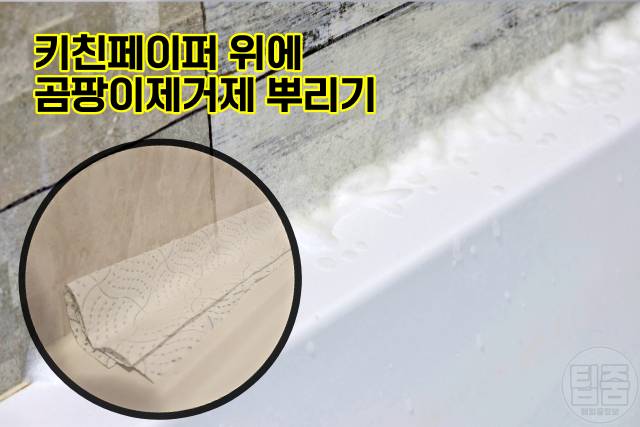 오래된 곰팡이 제거 욕실 실리콘 곰팡이 제거 방법 키친페이퍼