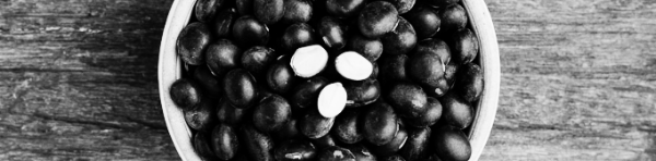 서리태 파종시기, 서리태콩 심는시기: 파종 간격 5-10cm