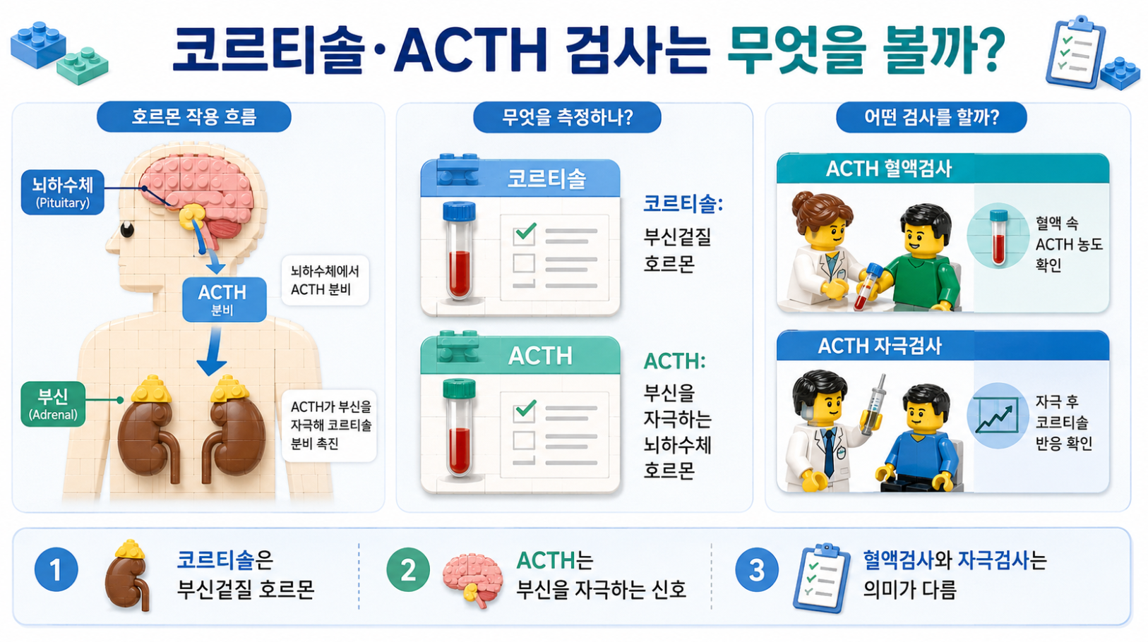 코르티솔·ACTH 검사에서 측정하는 호르몬과 ACTH 혈액검사 및 자극검사의 차이를 설명한 레고 스타일 의료 인포그래픽