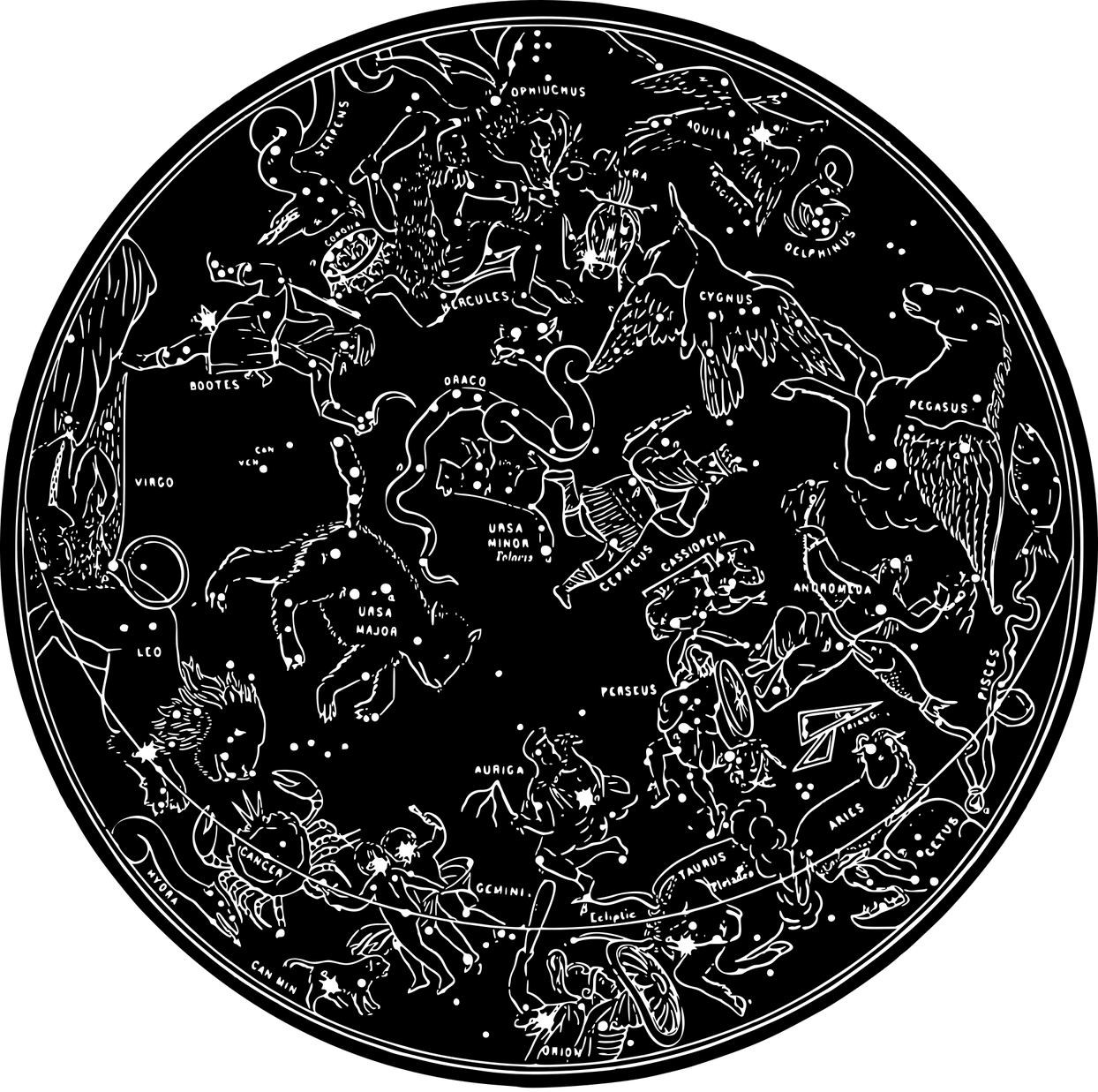 별자리 운세