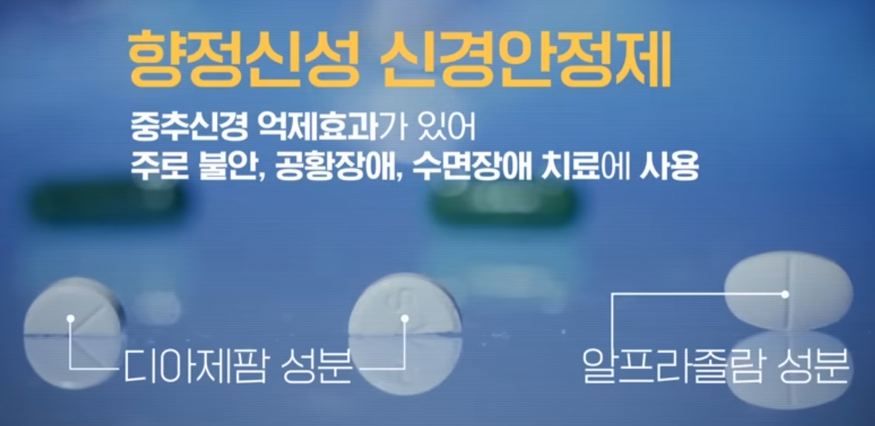 입짧은햇님 나비약 성분