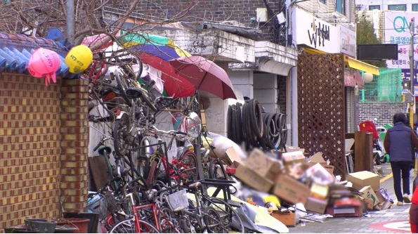 세상에 이런일이 천재견 테리