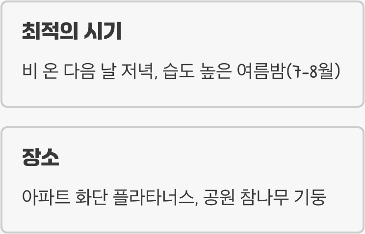 1. 여름밤의 보물찾기, 약충 채집