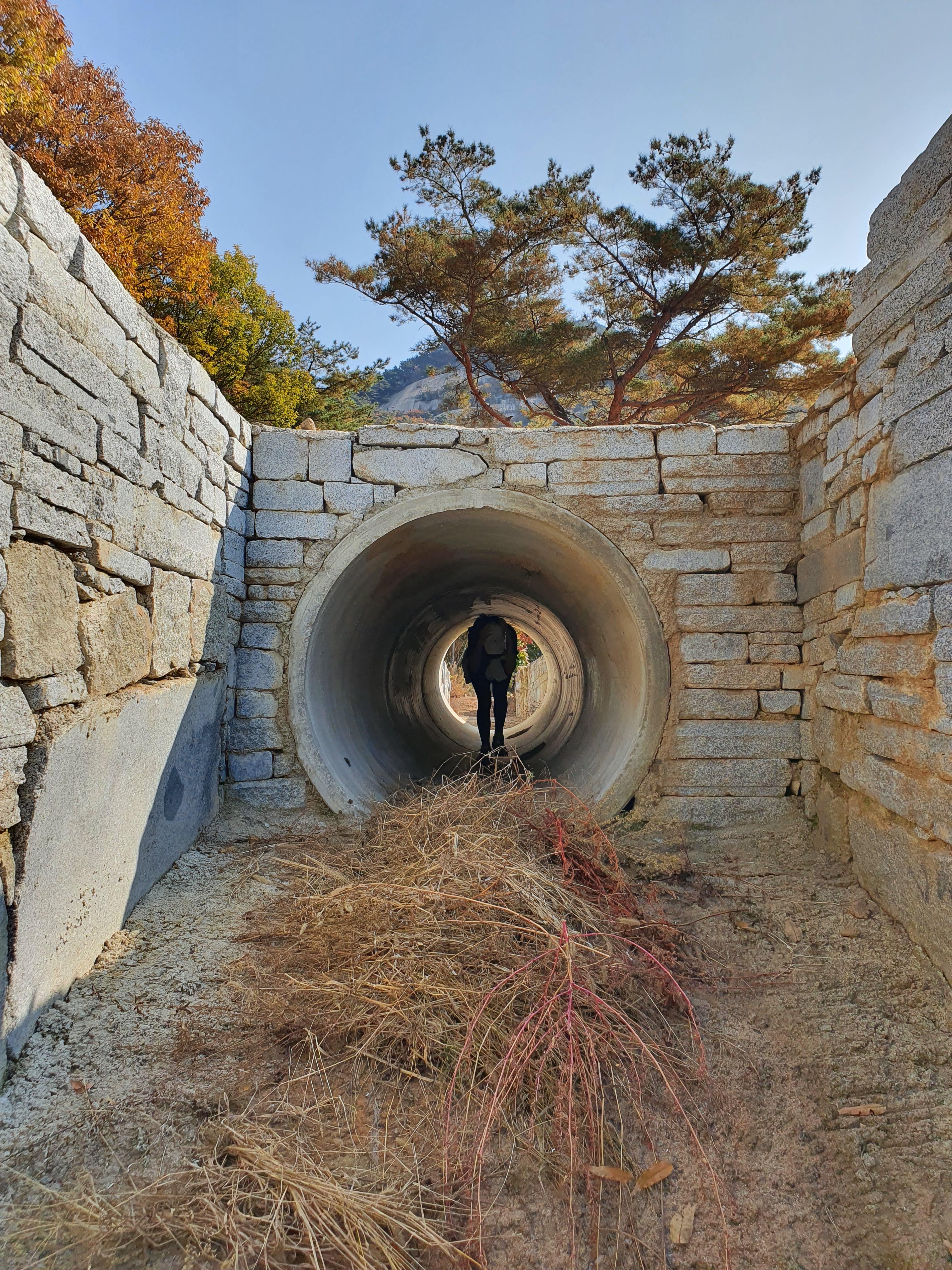 뜻하지않은 탐험