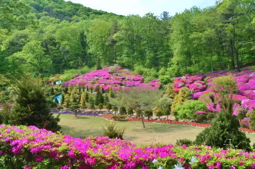 무(無)더위 여행! 이번 주 제철 농산물 체험 농촌 예술 테마 식물원 추천