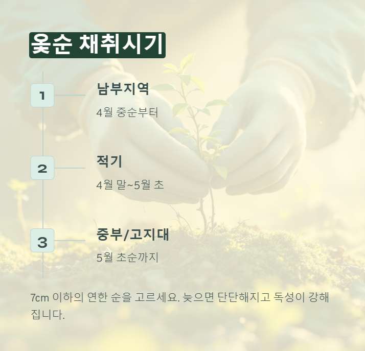 옻순 채취시기