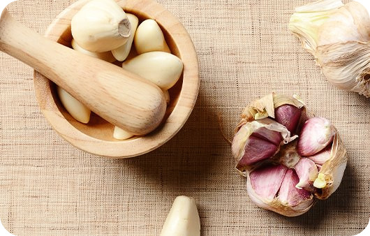 마늘-효능