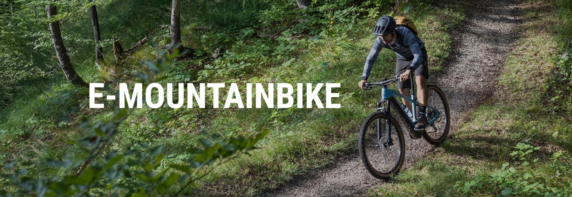 산악전기자전거1