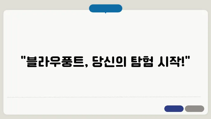 블라우풍트 홈페이지 바로가기 https://blaupunkt-life.kr/