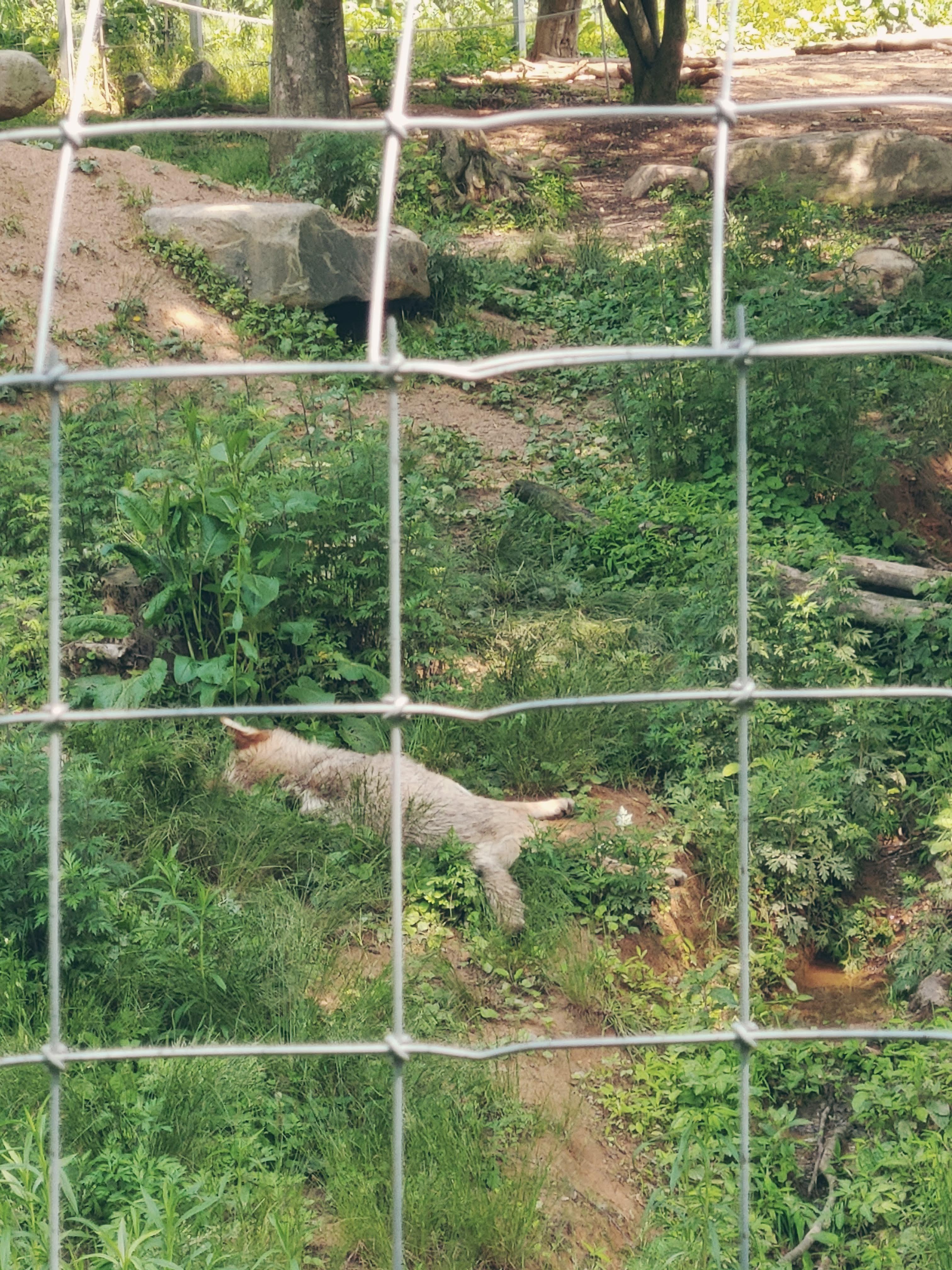 전주동물원 예약