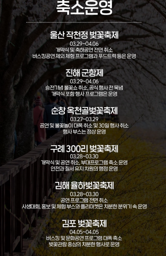 2025년 벚꽃축제 취소 및 축소운영 지역