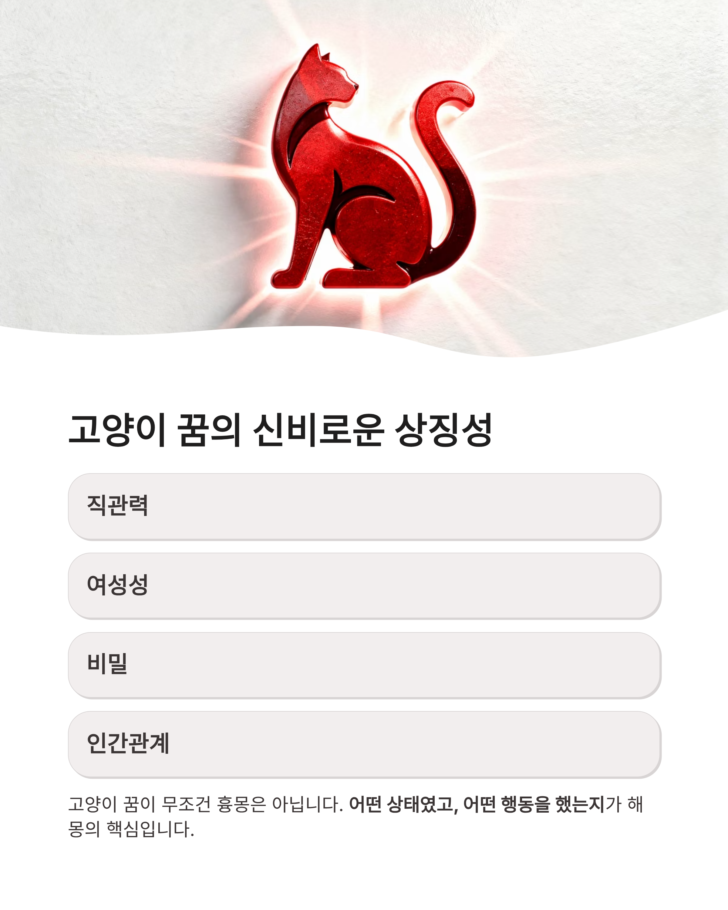 고양이 꿈 해몽 ❘ 할퀴는 검은 고양이 새끼 고양이까지? 행운과 경고의 미묘한 차이 완벽 가이드