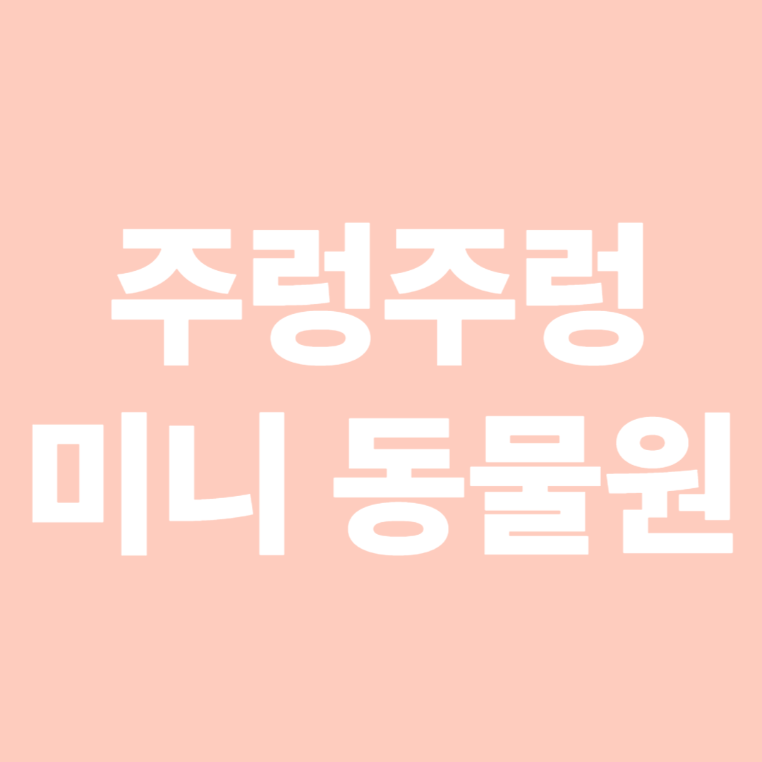 주렁주렁 실내동물원 하남점 다녀온 후기