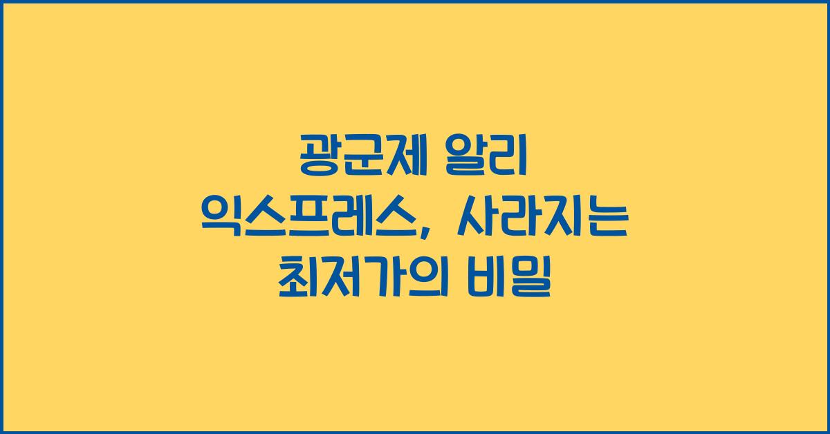 광군제 알리 익스프레스