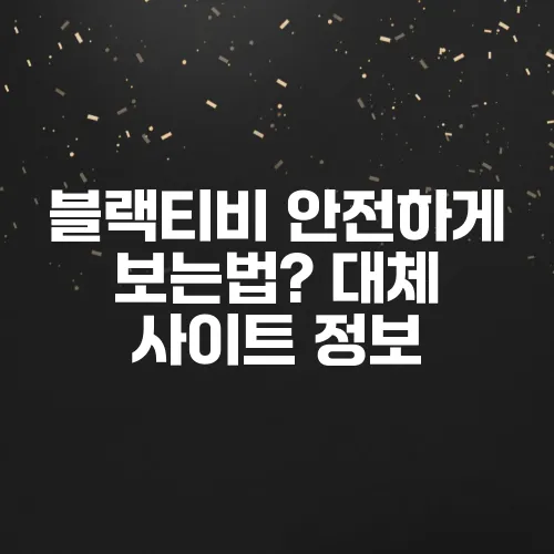 블랙티비 안전하게 보는법? 대체 사이트 정보