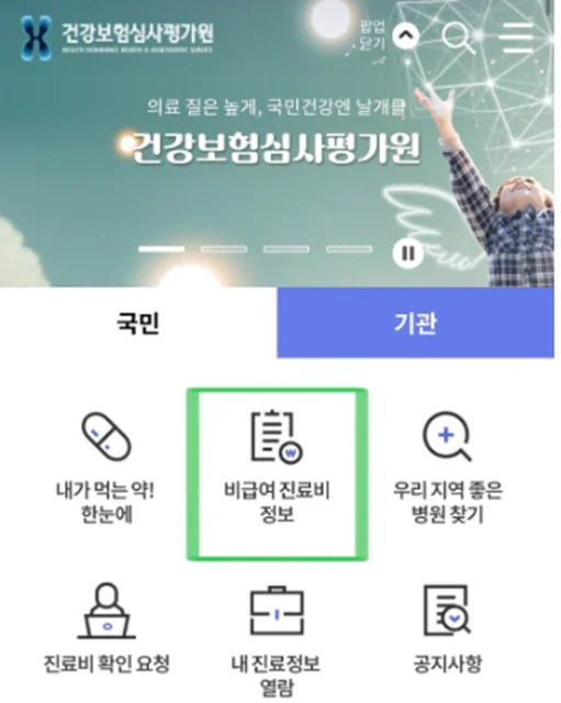 비급여진료정보-건강보험심사평가원-병원찾기-백일해