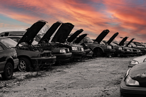 조기폐차 보상금(지원금)