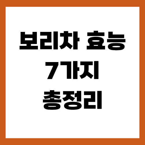 보리차 효능 7가지 총정리