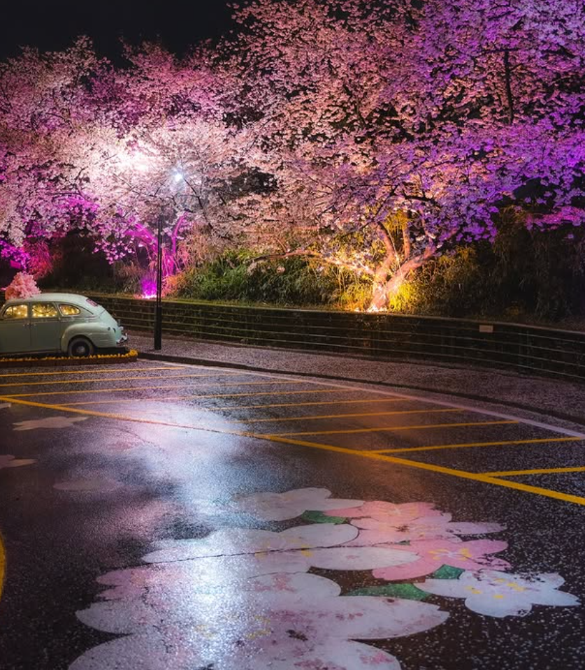 대구 이월드 자유이용권 할인