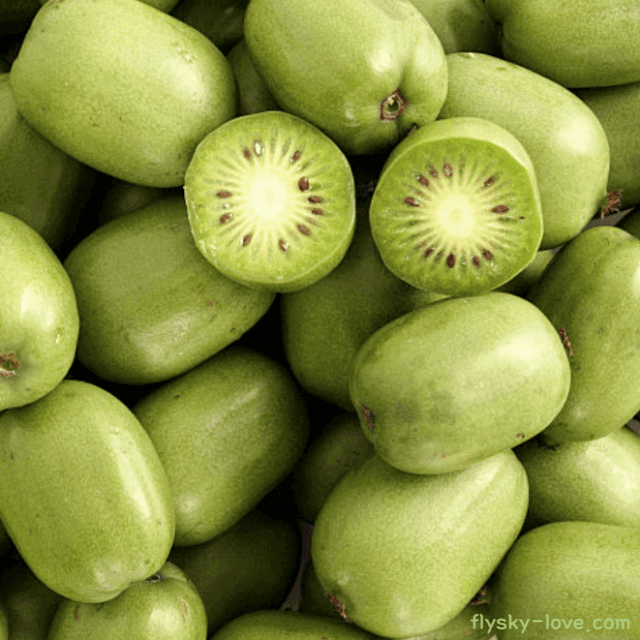 토종 다래 효능