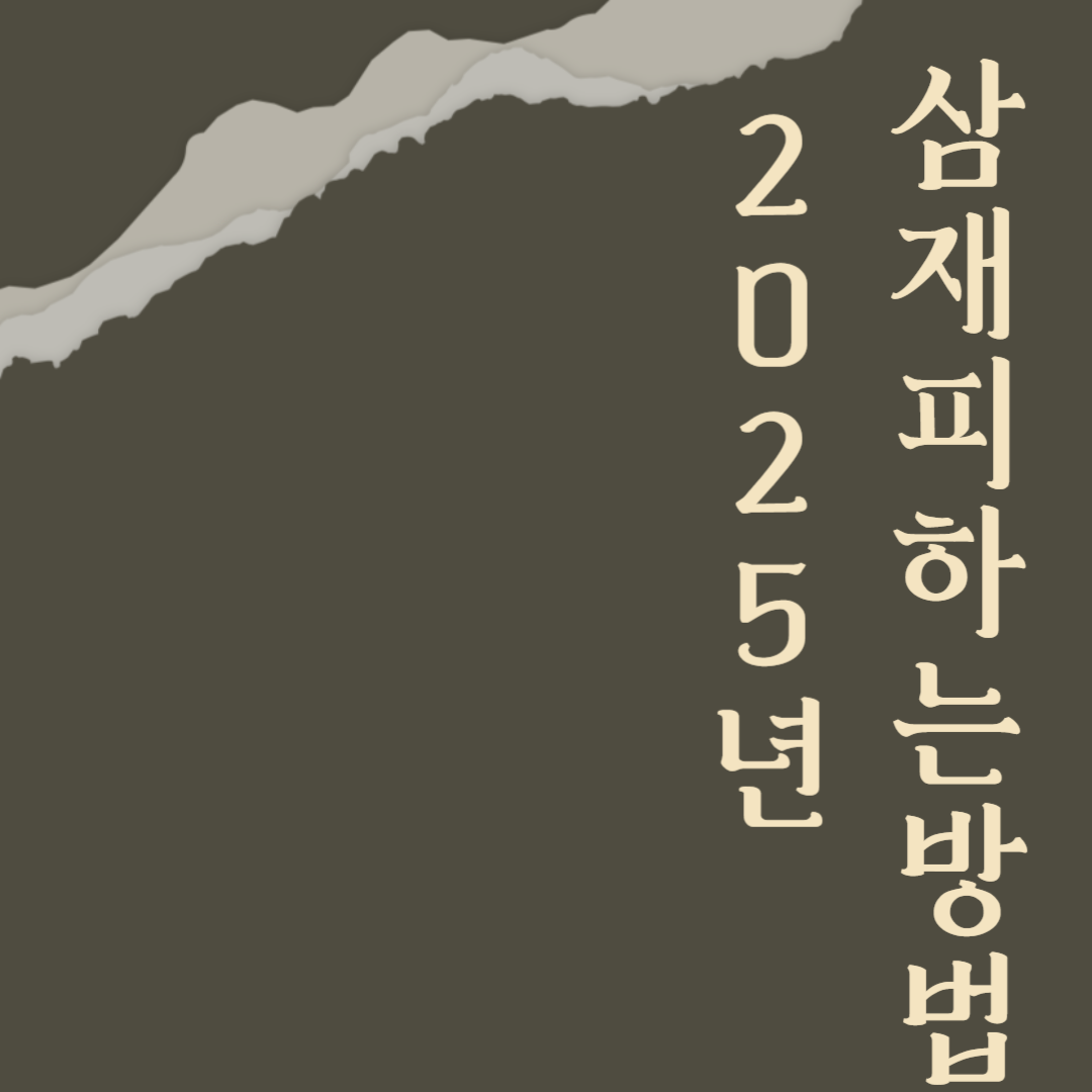 2025년 삼재띠 및 삼재에 대처하는 피하가는 방법