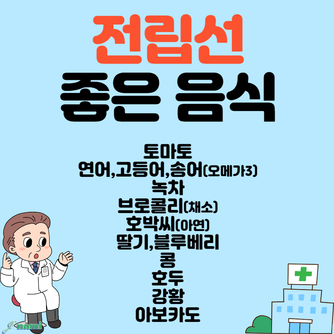 전립선 음식 요약 정리