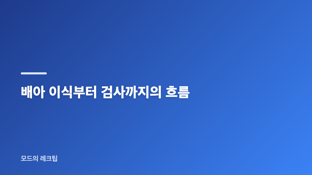 전진 류이서 시험관 배아 이식과 유산 소식