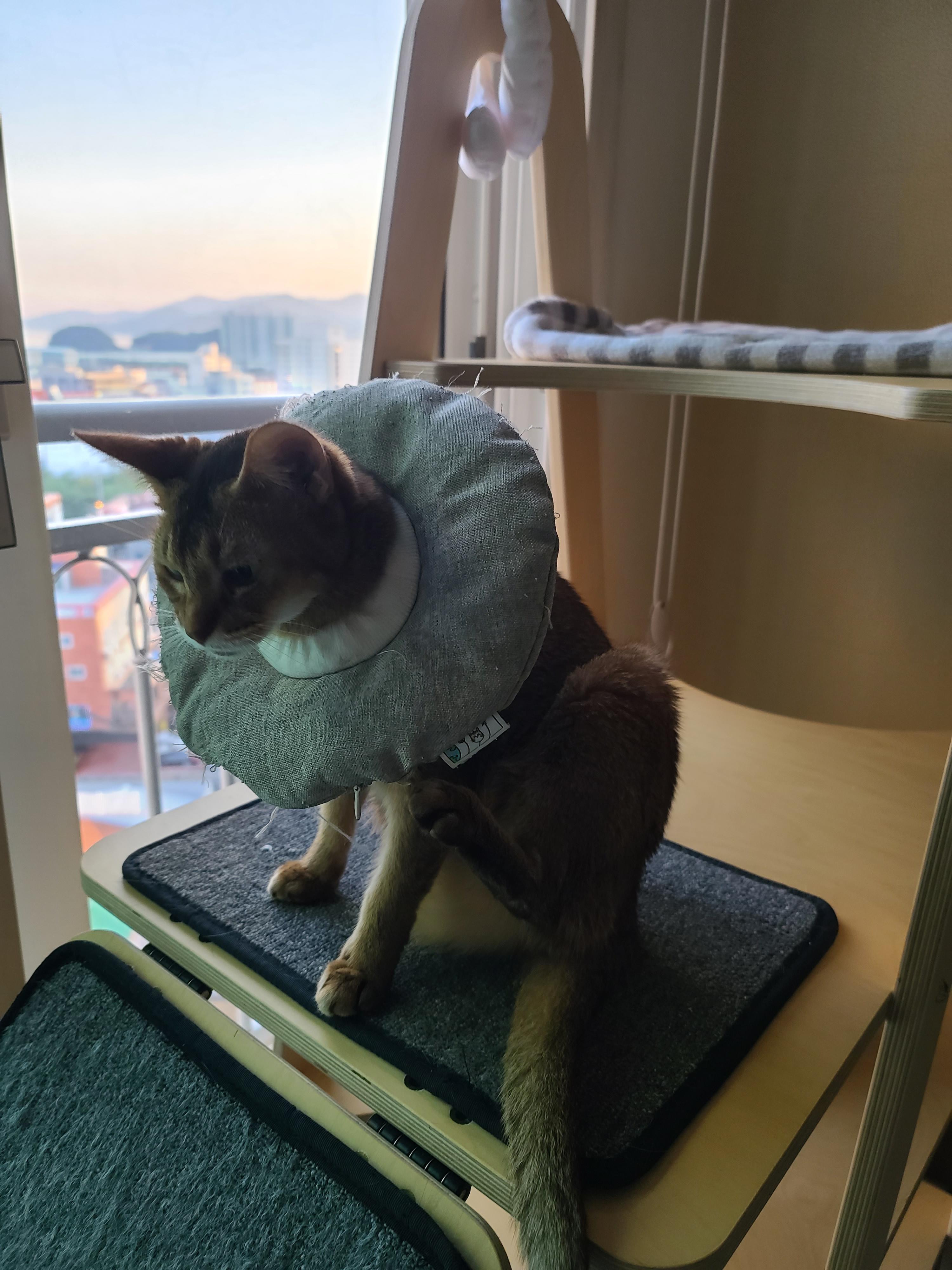 루디공주의 웃픈 넥카라 쇼!