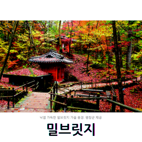 밀브릿지