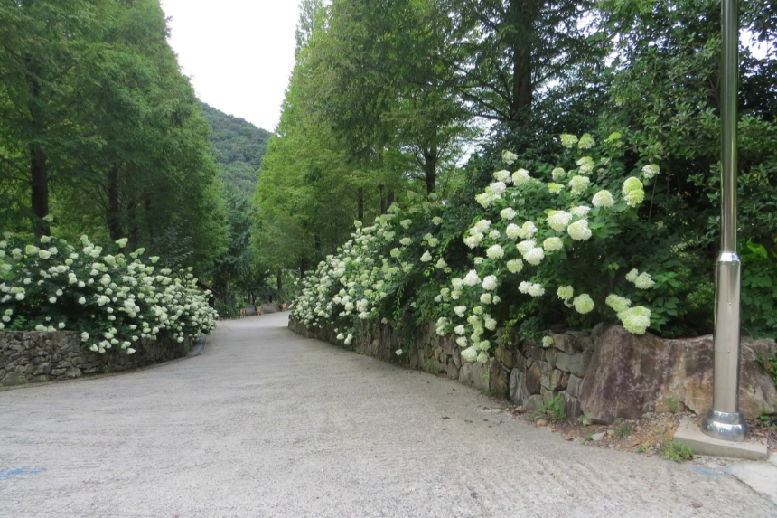 특색 있고 아름다운 민간 정원 30선 추천 여행 - 14. 고성 그레이스 정원