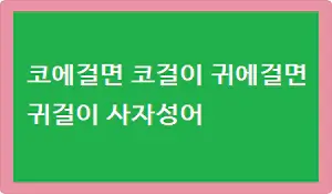 코에걸면 코걸이 귀에걸면 귀걸이 사자성어