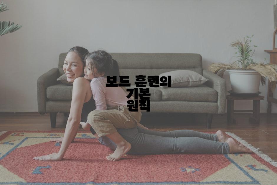 보드 훈련의 기본 원칙